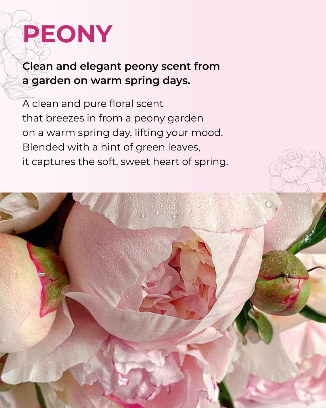 BOM Peony Garden Perfume Body Mist 3.71 Fl Oz, Floral Scented Fine Mist with Hyaluronic Acid, Niacinamide & Vitamin C, Hydrating, Lightweight Spray with Long-Lasting Fragrance, Korean Skincare