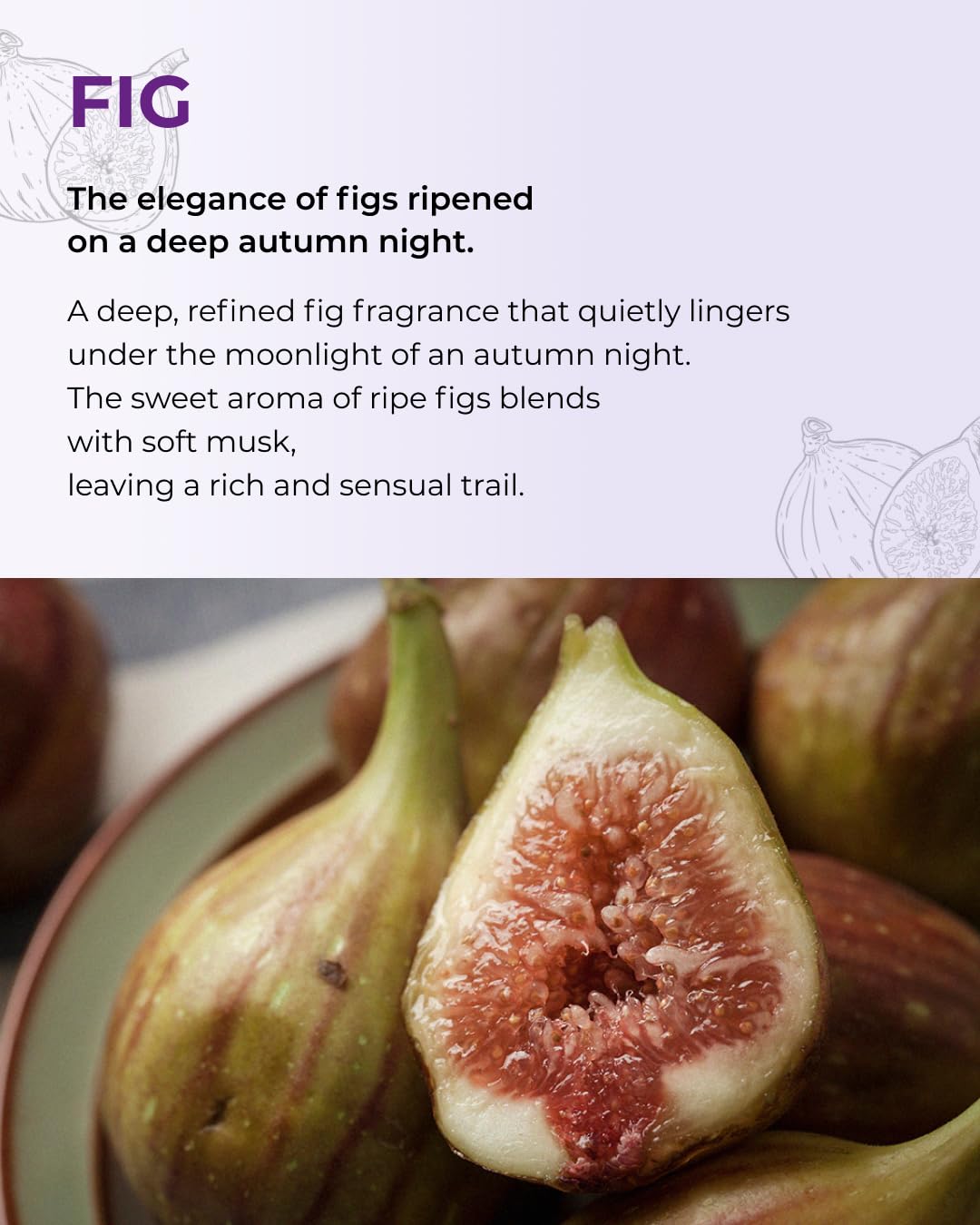 BOM Petit Fig Perfume Body Mist 3.71 Fl Oz, Fig Scented Fine Mist with Hyaluronic Acid, Niacinamide & Vitamin C, Hydrating, Lightweight Spray with Long-Lasting Fragrance, Korean Skincare