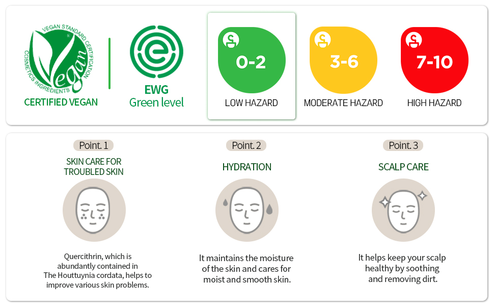 BOM Just One Houttuynia Cordata Extract 150ml 5.07 fl. oz. 92.5% Herbal Extract Vegan Facial Toner Alcohol Free for Face, Scalp